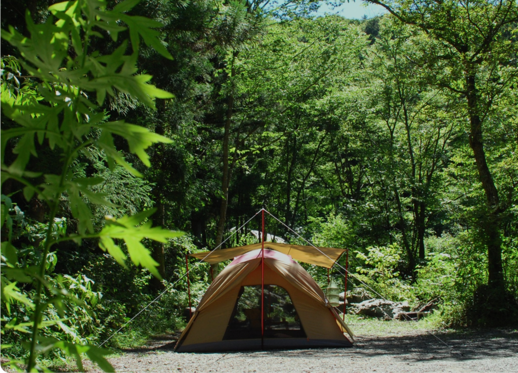 森の中のキャンプテントが張られている写真